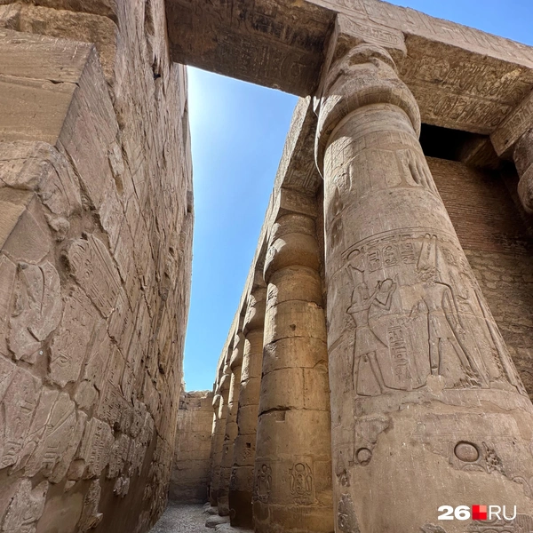 Источник: Габриелла Захарова / 26.RU