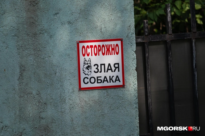 Но в целом, место, по мнению жителей, тихое | Источник: Даниил Пономаренко / MGORSK.RU