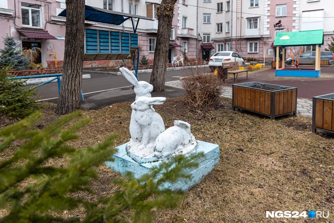 Так могли бы выглядеть все дворы | Источник: Мария Ленц / NGS24.RU