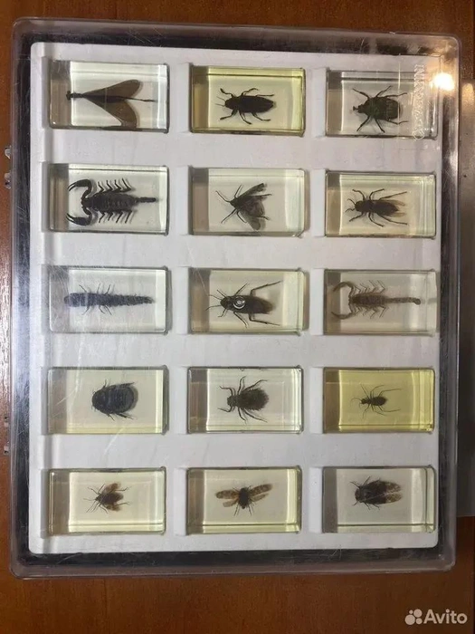 Самарцу удалось собрать полную коллекцию  | Источник: Авито 