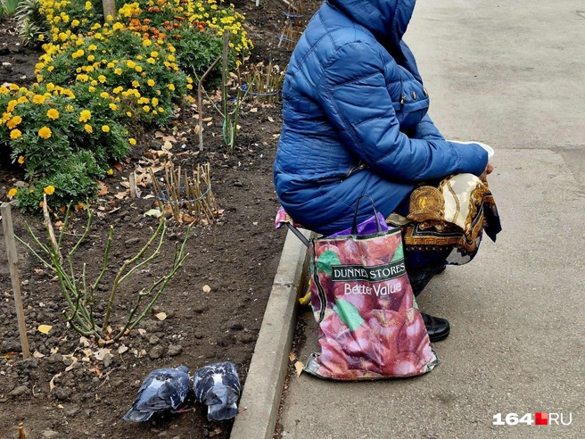 Женщина просила не снимать лицо и рассказала, что кормит голубей | Источник: Виктория Федорова / 164.RU