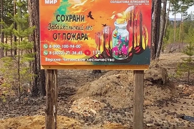 В Верхне-Читинском лесничестве появились аншлаги по детским эскизам