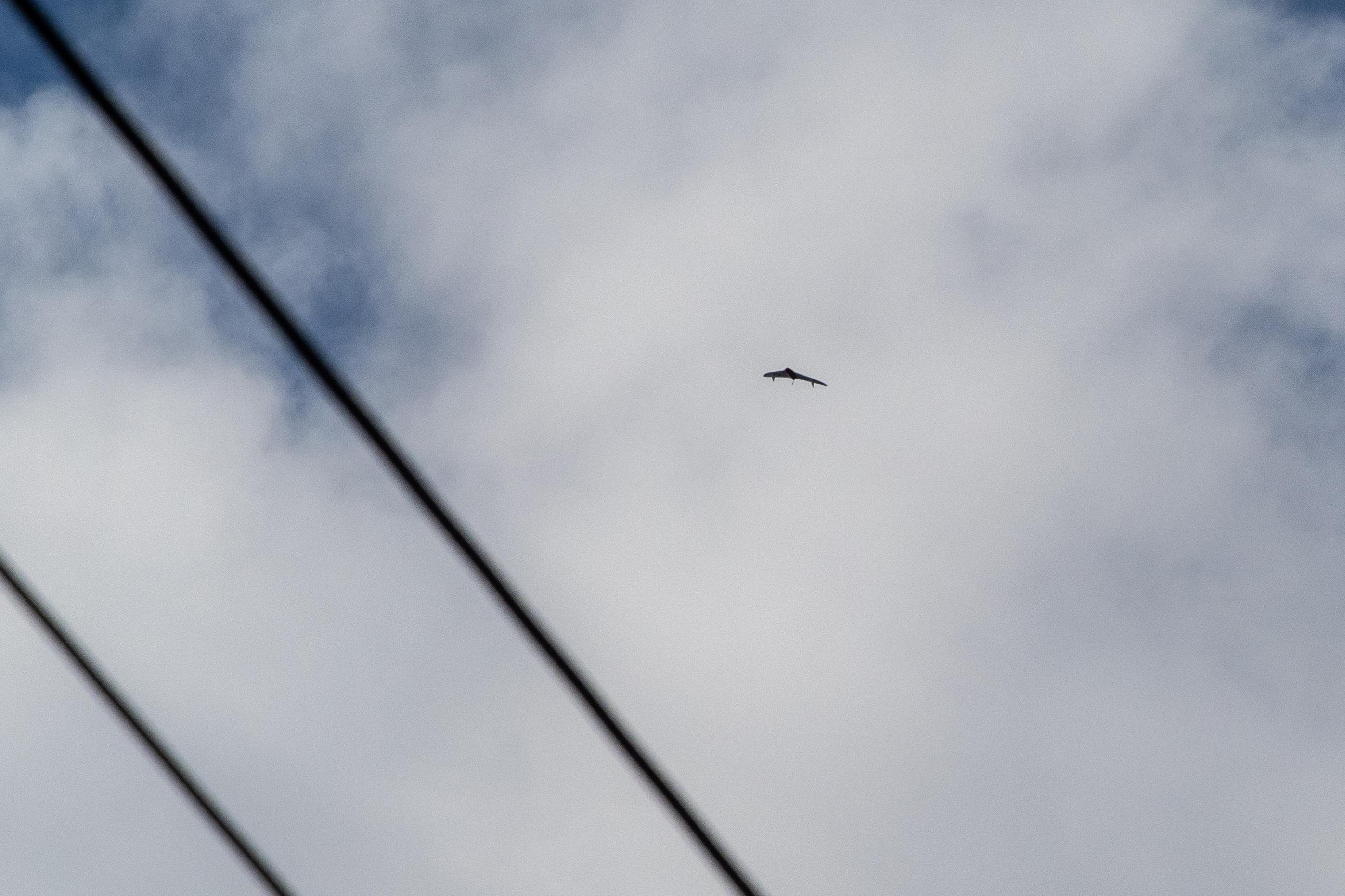 Север Ростовской области атаковали беспилотники