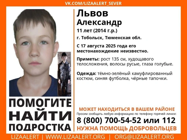 Источник: Поисковый отряд «ЛизаАлерт» Тюменской области