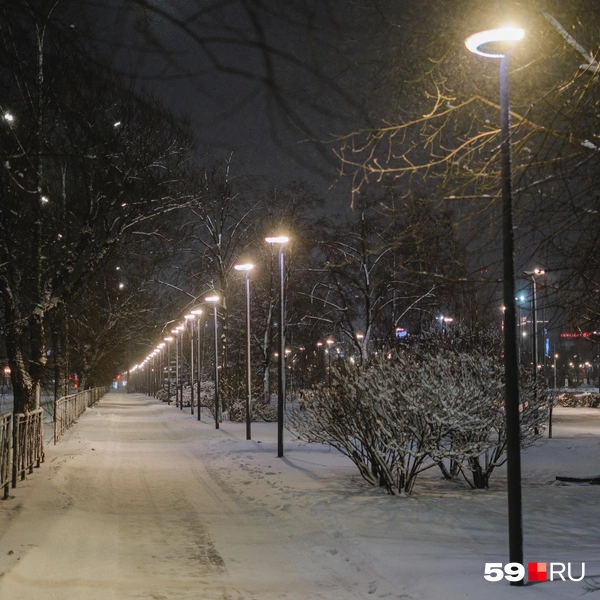 Ветер сдул снег к обочине | Источник: Тимофей Калмаков / 59.RU