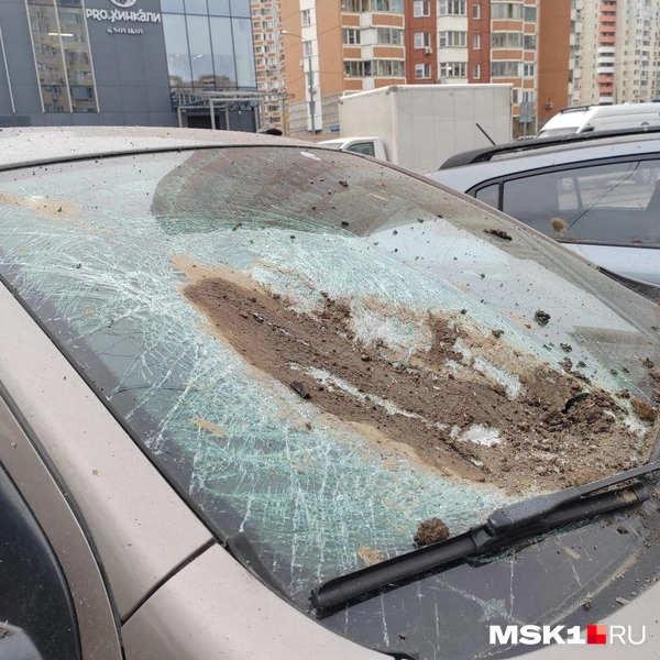 Источник: Михаил Мечев / MSK1.RU