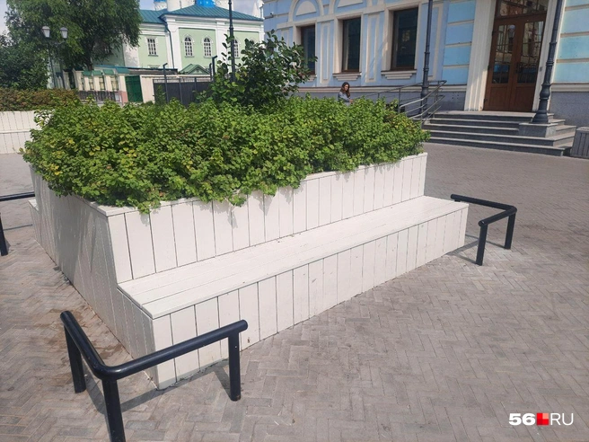 Лавочки чистые, ухоженные | Источник: Анастасия Баринова / 56.RU