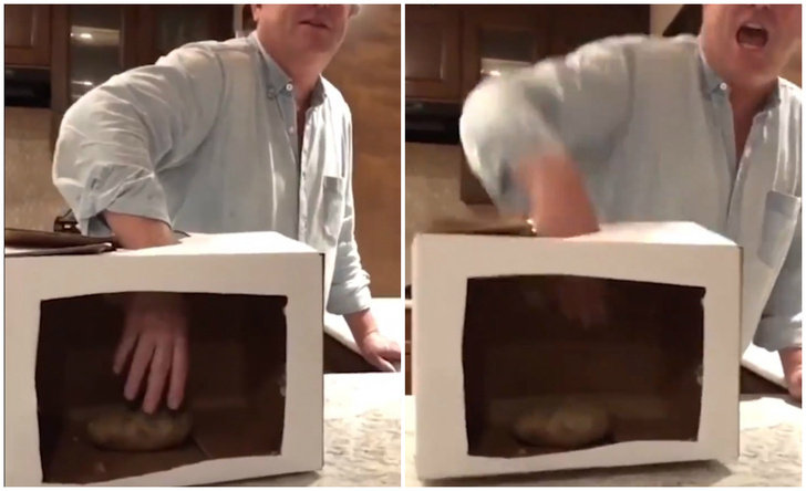 Реакция человека, который трогает картошку в коробке, не зная, что это картошка (видео)
