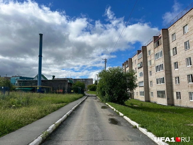 Учалы&nbsp;— зелёный город | Источник: Андрей Бирюков / UFA1.RU