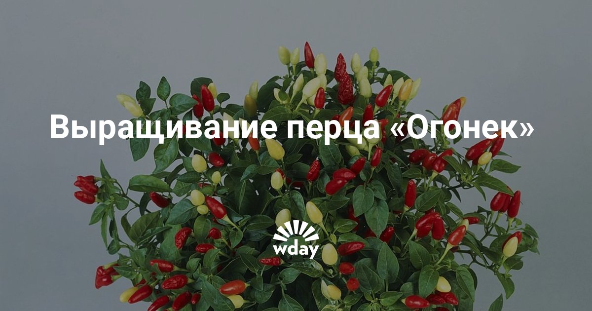 считаю, что бесплатно порнуху смотреть онлайн кончил в жопу считаю, что правы. уверен
