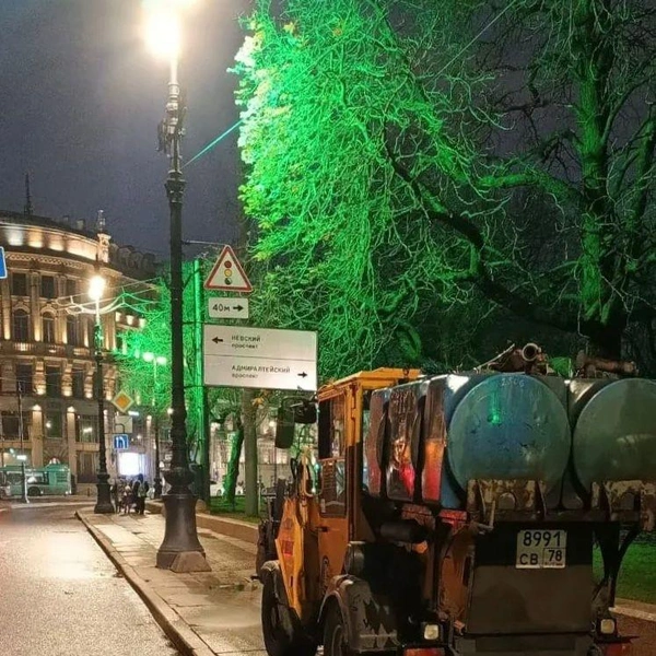 Источник: Комитет по благоустройству Санкт-Петербурга