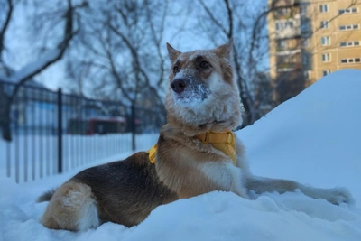 Андрей Шихов: погода в Прикамье на выходные