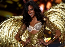 Victoria's Secret Fashion Show 2014: первые фото с показа