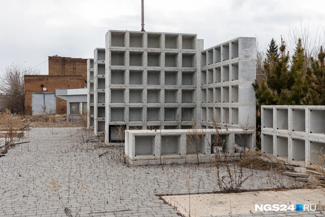 Колумбарная стенка зарастает травой | Источник: Мария Ленц / NGS24.RU