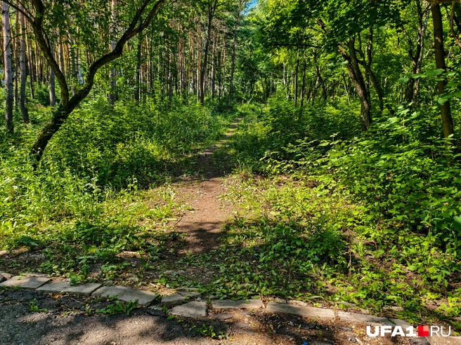 Одна из побочных тропинок | Источник: Булат Салихов / UFA1.RU
