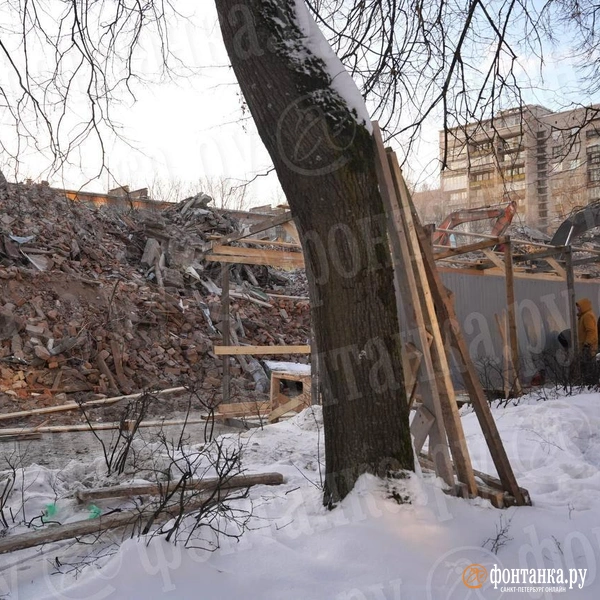 Источник: Павел Даиси / FONTANKA.RU