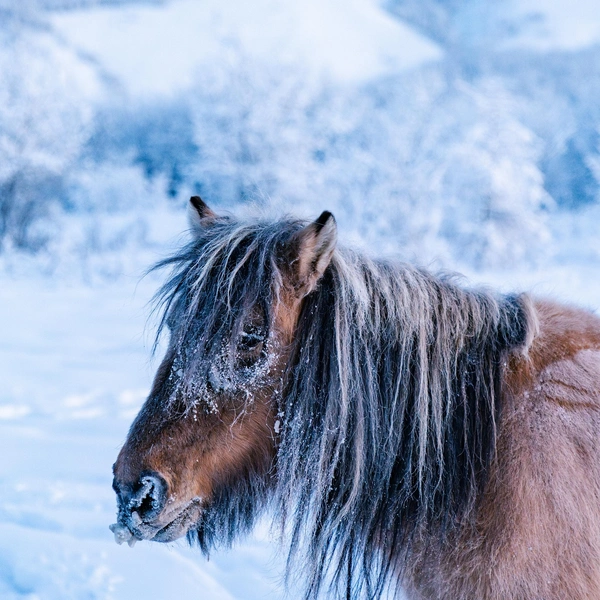 Источник: Павел Матвеев / Vk.com