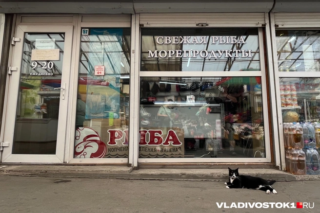 Источник: Елена Буйвол / VLADIVOSTOK1.RU