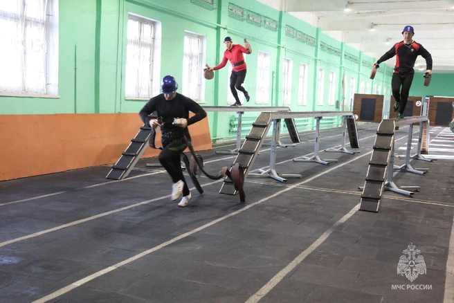 Источник: static.mchs.gov.ru