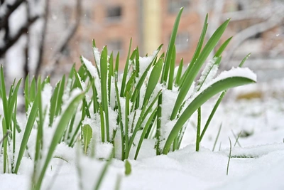 Прикамье ожидает рекорд осадков на неделе
