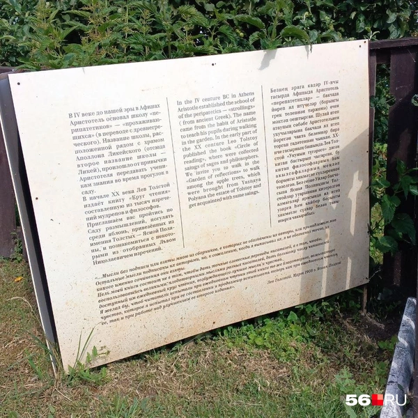 Источник: Анастасия Баринова / 56.RU