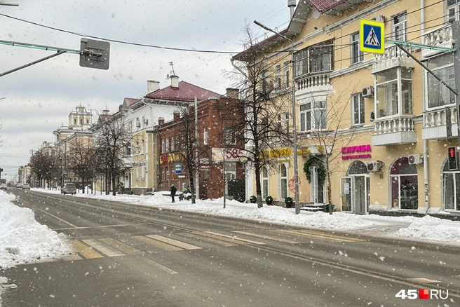 Бесснежной зиме рады только дорожники, которым не надо чистить снег | Источник: Кирилл Митин, Мария Романова