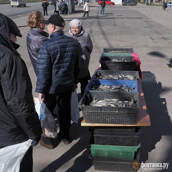 Источник: Михаил Огнев / FONTANKA.RU