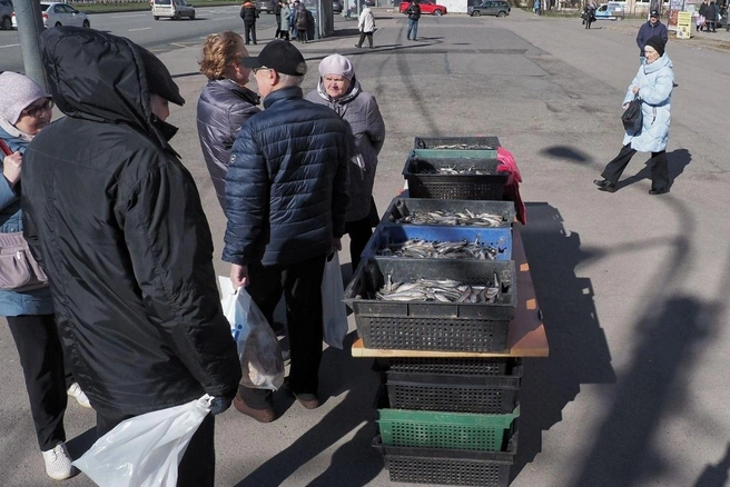 В 2026 году корюшка, петербургский деликатес, стоит на 30–40% дороже, чем год назад | Источник: Михаил Огнев / FONTANKA.RU