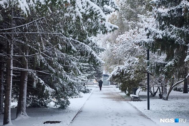 Синоптики прогнозируют, что снег скоро растает | Источник: Александр Ощепков / NGS.RU