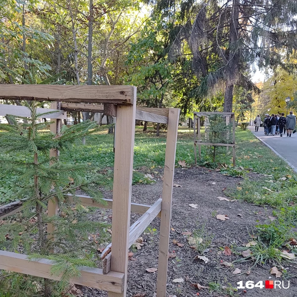 Источник: Сергей Гендин / 164.RU