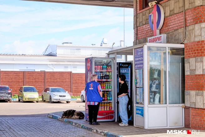 Продавцы бензина говорят о дефиците | Источник: Дмитрий Толстошеев / MSK1.RU
