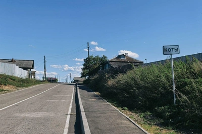 Новые очаги дерматита в Иркутском округе