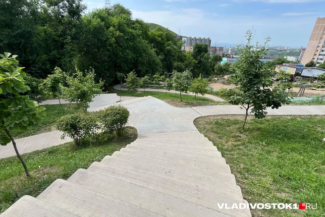 Источник: Елена Буйвол / VLADIVOSTOK1.RU