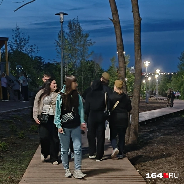 Источник: Антон Васильченко / 164.RU