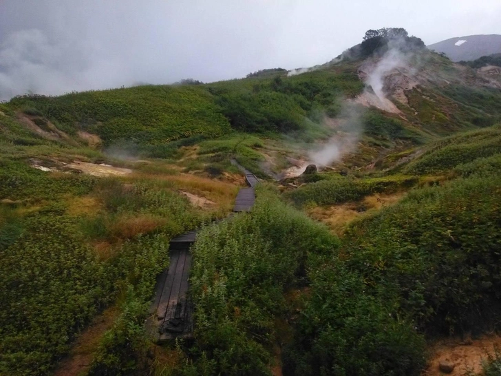 Источник: Ольга Чеповская