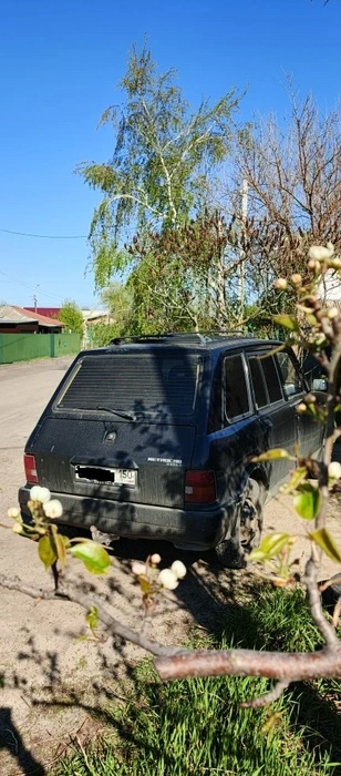 Машина выдержала и холодную прохладу русского севера, и горячий прием Абхазии | Источник: владелец автомобиля