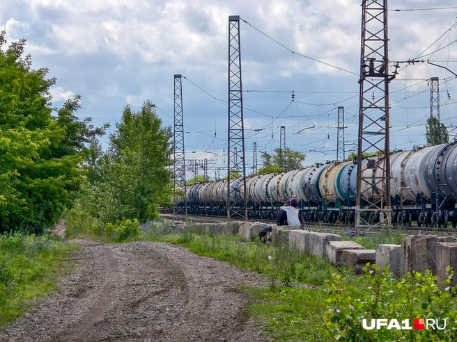 Слева тропа, а ребята только что оттуда вышли | Источник: Булат Салихов / UFA1.RU