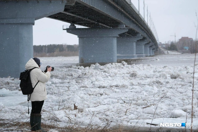 Прогулялись от Коммунального моста до общаги ТГУ | Источник: Мария Лобанова / NGS70.RU