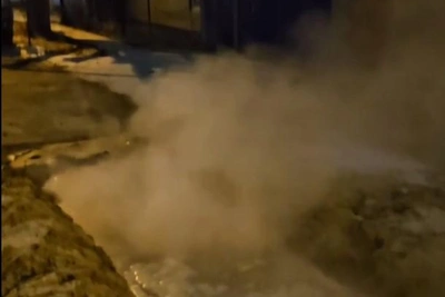 Собака попала в лужу кипятка из-за прорыва трубы в Тюмени