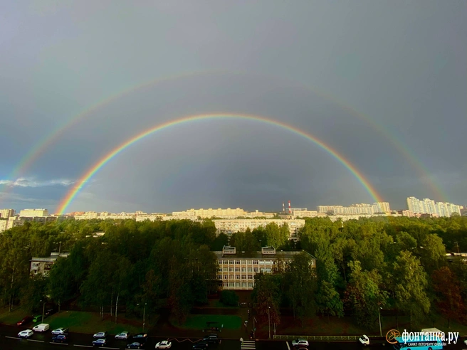 Спешащих на работу петербуржцев заставило остановиться атмосферное явление | Источник: читатель «Фонтанки»