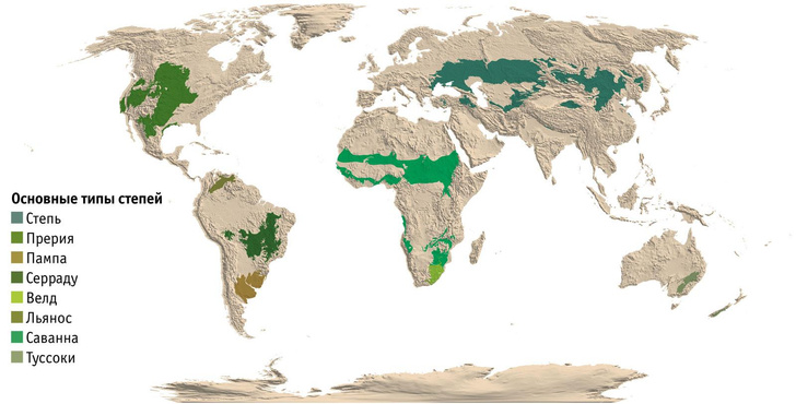 Зеленый пояс: где находятся разные степные экосистемы