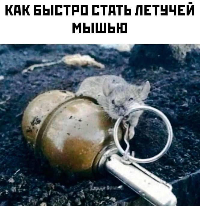 Смешные картинки :) Здравствуйте, уважаемые, Приятного, времени, суток