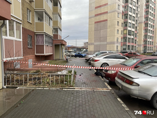 Место огородили лентой. Ночью здесь работали силовики | Источник: Виталий Гущинский