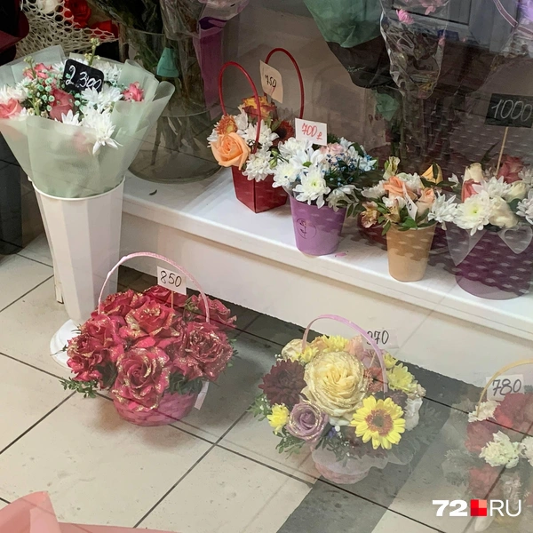 Источник: Никита Кифорук / 72.RU