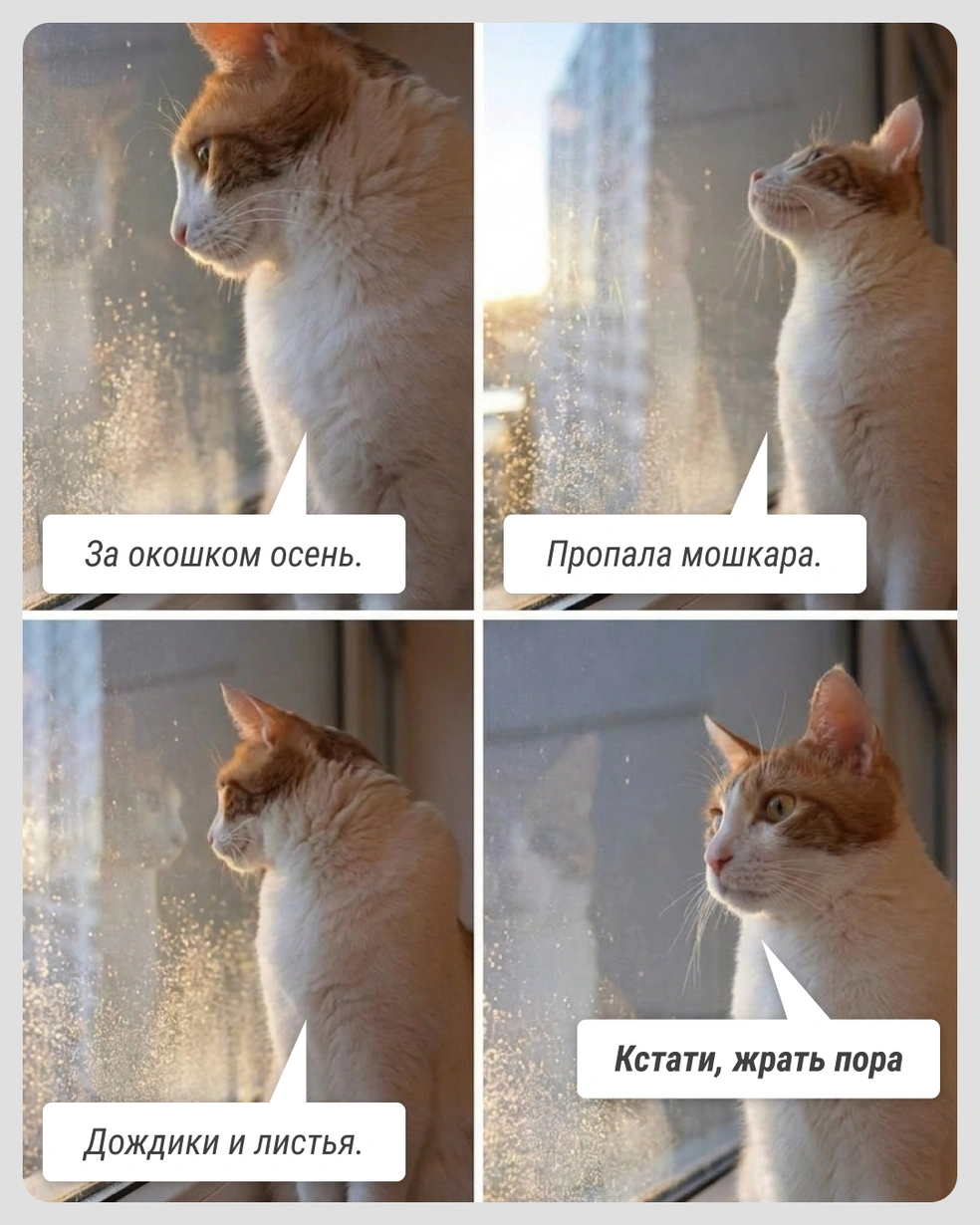 Осенью мысль про диету как-то отходит на второй план | Источник: Городские медиа