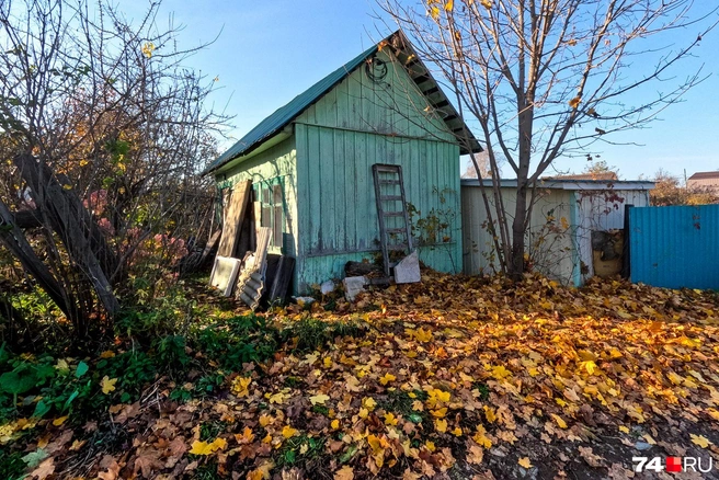 Осень. Странные дела | Источник: Артем Краснов