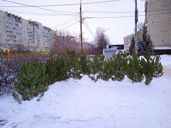 Где Купить Чулки В Ульяновске