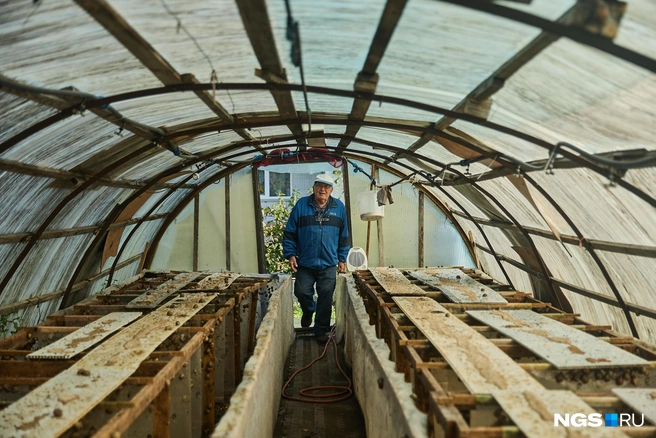 Ферма улиток находится в теплице | Источник: Александр Ощепков / NGS.RU