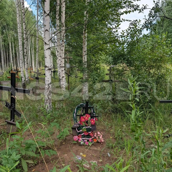 Источник: NGS42.RU
