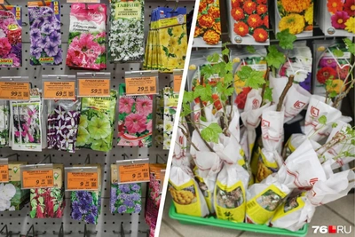 Обзор цен на товары для дачи в ярославских дискаунтерах